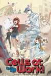 Anime Series - Cells at Work!