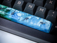 Whale Shark Spacebar - Hirosart