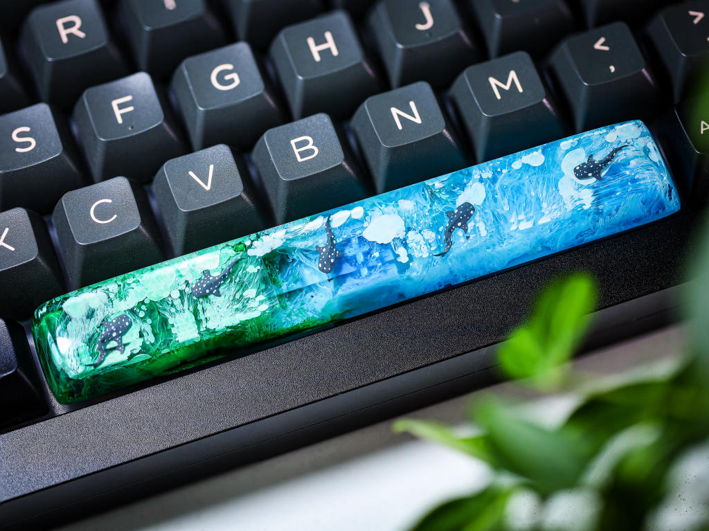 Whale Shark Spacebar - Hirosart