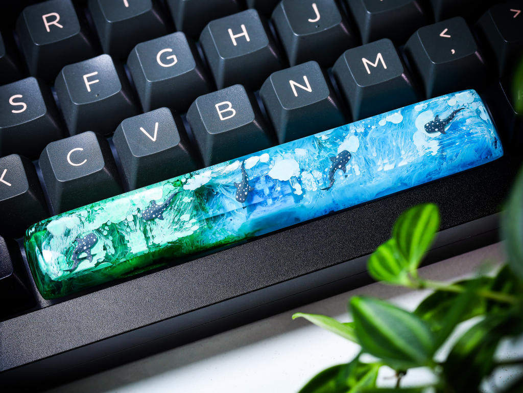 Whale Shark Spacebar - Hirosart