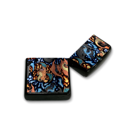 Charizard Mega Evolution Pokemon Lighter Case